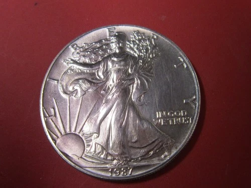 1987 American Silver Eagle 1 Ounce Gem Brilliant Uncirculated Coin See Photos