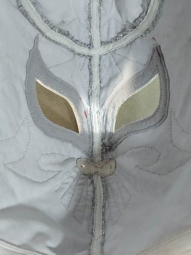 Wrestling match Mask Dolaristico Bushio #080713 - Picture 11 of 13