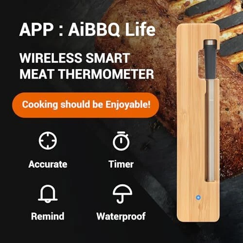 Wireless Meat Thermometer, Long Range Bluetooth 5.2 with Silver / Single Probe