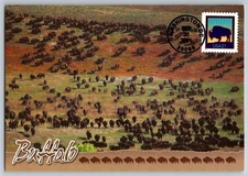 #3468 Bison FDC Maxi Card on Postcard