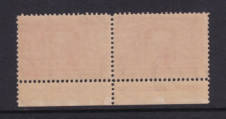 1904 Sc 324 Louisiana Purchase 2c MLH full OG plate number & imprint pair (YB - Image 2 of 2