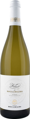 Bocca di Lupo Fiano Puglia IGT   2023