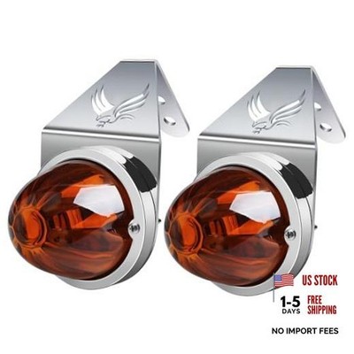 Watermelon Lights with Stainless Amber Lens/Led - Bracket - Amber Glass