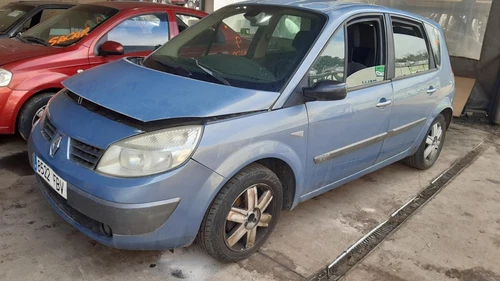 244822A Modanatura per RENAULT SCENIC II (JM) Confort Dynamique 2006 7387924 - Foto 3 di 7
