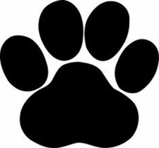 Puppy Paw print - High Quality Stencil 10 mil - Reusable Patterns