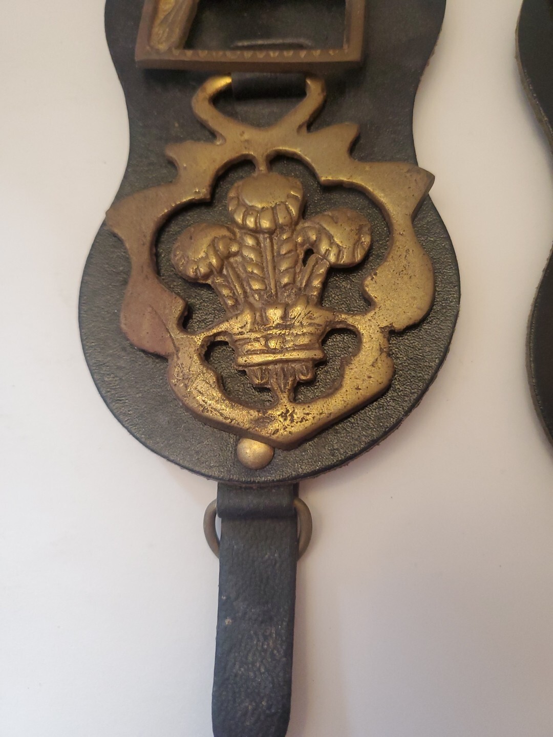 Picture 5 of 21