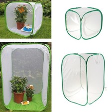 Käfigzuchtbox Terrarium Aufzucht