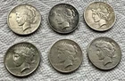 6 Peace Dollars: 1921 P, 1922 PDS, 1923 PS
