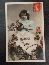 CP LITTLE GIRL PANEL BEST WISHES PINK FLOWERS - 35559