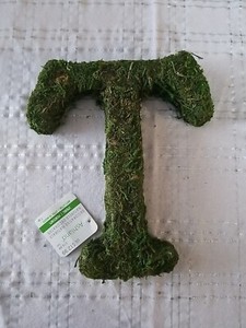 Decorative Moss Letter T