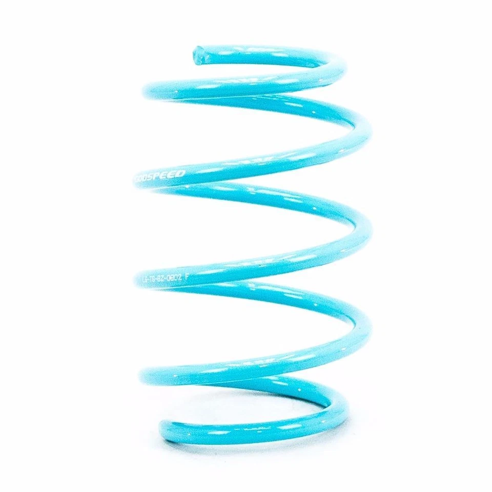 GODSPEED PROJECT TRACTION-S LOWERING SPRINGS FOR 08-14 MERCEDES BENZ C-CLASS 2WD Foto 2 de 3