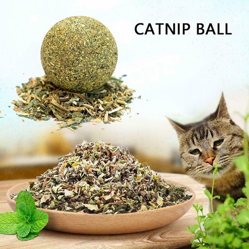 2 pcs Purrfect Pet Snacks Catnip and Mint Ball Toy for Feline Fun and Games E5K5 - Picture 2 of 17