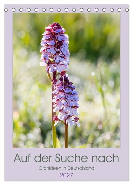 Janita Webeler | Auf Der Suche Nach Orchideen In Deutschland (Tischkalender...