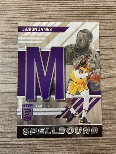 2023-24 Panini Donruss Elite LeBron James Name “M”