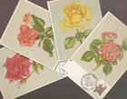 1982 Australia ROSES Flowers Set of 4 Maxi Cards