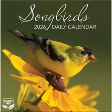 Turner Licensing - 2026 Songbirds Daily Box Calendar