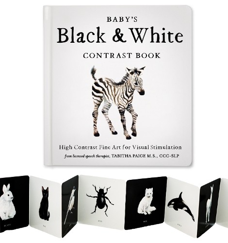 Baby's Black and White Contrast Book by Tabitha Paige - 9781941325971