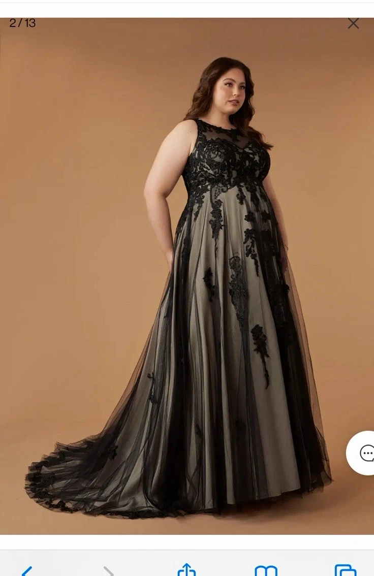Embroidered Dress Plus Size Dress With Sheer Overlay Embroidered Plus Size Dresses For Women For Sale