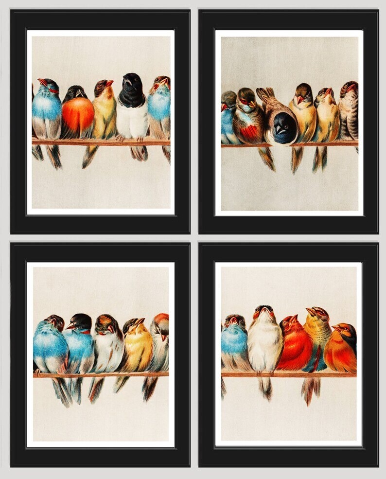 Vintage Bird Wall Art Print Set of 4 Beautiful Antique Vintage Red ...