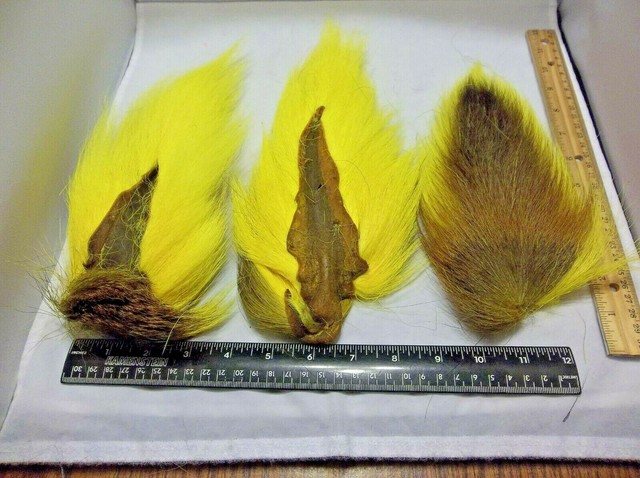 moose mane fly tying