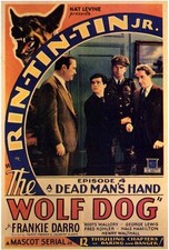 Póster de la película EL PERRO LOBO 27x40 B Frankie Darro Rin Tin Tin Jr. George J. Lewis