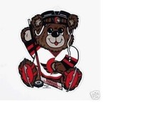 NEVER HUNG UP MINT NOS 1996 OTTAWA SENATORS DIECUT 