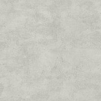 Rasch Textil Greenhouse Tapete 138906 Uni Einfarbig Hellgrau Vliestapete Vlies
