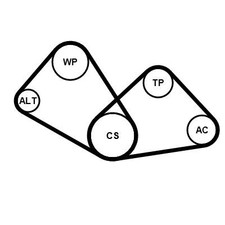 CONTINENTAL CTAM KEILRIPPENRIEMEN-SATZ passend für FIAT SEDICI | 4PK805K1