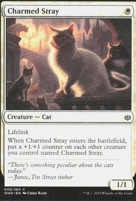 Charmed Stray 8 Common War of the Spark Magic: The Gathering Near Mint