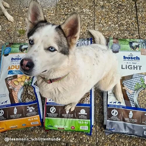 bosch HPC Light | Hundetrockenfutter für übergewichtige Hunde aller Rassen | ... - Bild 2 von 4