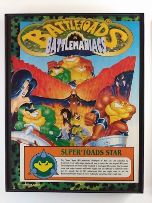 Framed Battletoads in Battlemaniacs SNES 1993 retro video game wall art