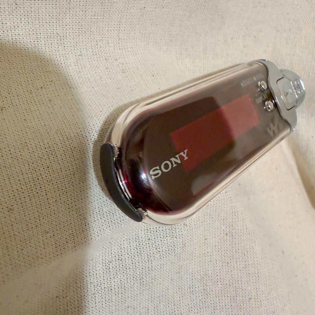 Sony Walkman NW-E407 1GB Digital Media Player Used Tested Vintage