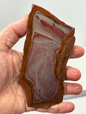 Disaster Peak Wonderstone slab Cabbing Lapidary Collecting Combo Ship Avail