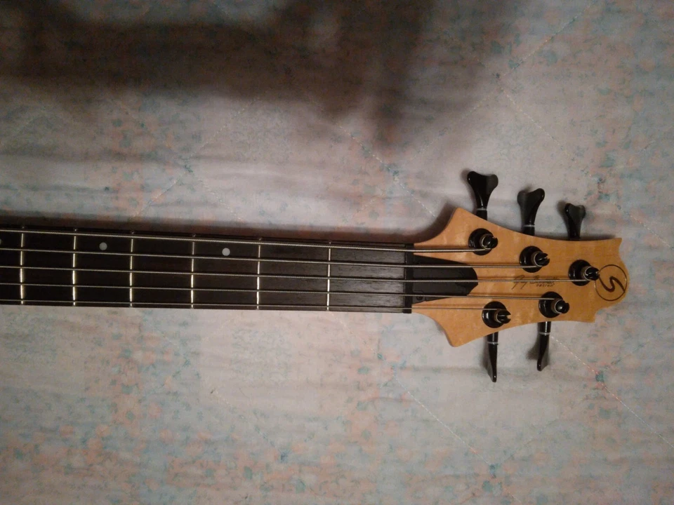 Bajo de 5 cuerdas Ibanez GSR 205 COOL L@@K Foto 4 de 4
