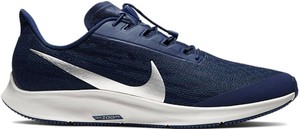 pegasus 36 blue void