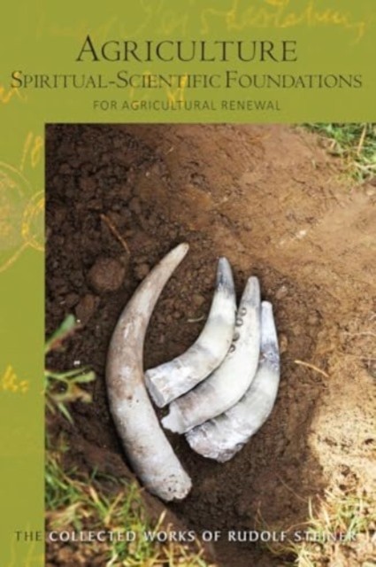 Agriculture, Spiritual-Scientific Foundations by Rudolf Steiner (Paperback Book)