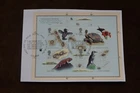 GB 2009 Charles Darwin Islands m/s, On Piece, Used, ex FDC