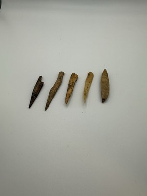 Ancient Bone Awls - Set Of 5 - The Duffy Site Illinois