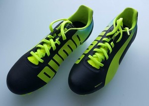 puma evospeed 4.2