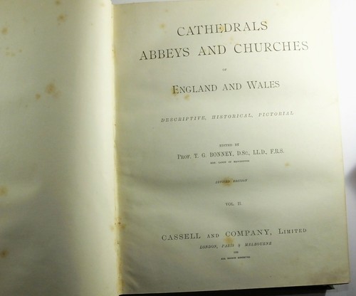 1896 2 vols. Cathedrals Abbeys & Churches England & Wales Prof T G Bonney Books - Picture 10 of 12