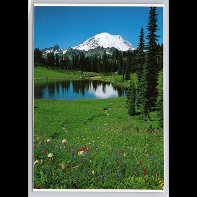 Vintage Postcard Mount Rainier Washington 1989 Unposted Scenic View Historic