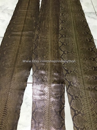 Genuine Python Leather, Exotic Snake Skin, Green SnakeSkin, Green Python Leather - Picture 7 of 8