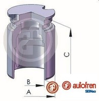 Autofren Seinsa D025422 Kolben FüR Bremssattel Kolben Bremssattel