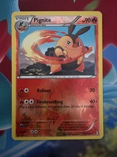 Pignite 25/149 B&W Boundaries Crossed Reverse Holo Pokémon TCG Card NM/LP