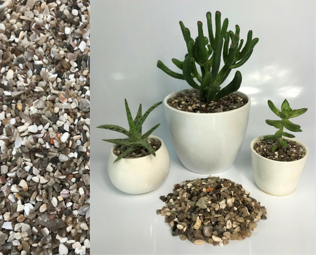 Ghiaia Decorativa Per Piante – Sassi Colorati Per Vasi, Cactus, Bonsai, Giardino, Interni Ed Esterni