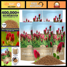 Bulk Crimson Clover Seeds - 5 lbs Non-GMO Open Pollinated - Over 400,000 Seeds 13.20 per gallon