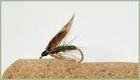 Bild 9 von 11