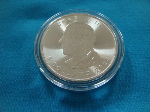 2024 Canadian Silver Maple Leaf 1 oz — photo from the most recent tracked eBay sale