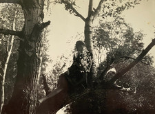 Beautiful Young Woman on a Tree Pretty Attractive Girl Soviet Vintage Photo USSR