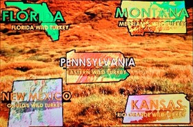 Turkey Hunting USA JAMMA Sammy 2000 Arcade PCB Works Great... Lots of FUN!